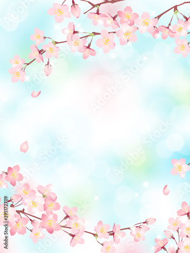 満開の桜と青空の背景素材、ベクターイラストフレーム / 縦位置
