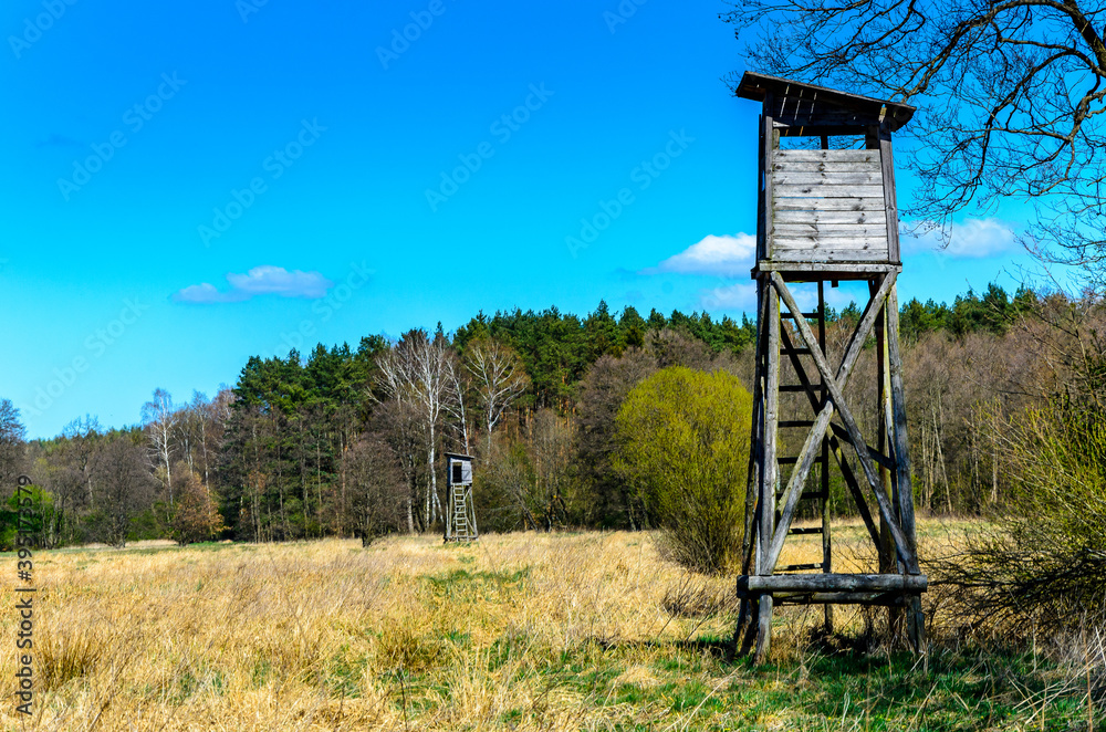Tree stand , open platforms used by hunters.