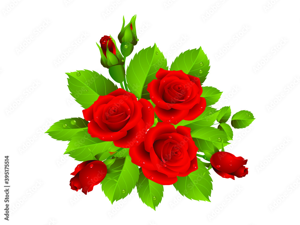 Realistic vector illustration art of red roses with buds and green leaves isolated on white background. Decoration for packaging products for beauty, health, cosmetics, flower shops, markets, others. Realistic vector illustration art of red roses with buds and green leaves isolated on white background. Decoration for packaging products for beauty, health, cosmetics, flower shops, markets, others.