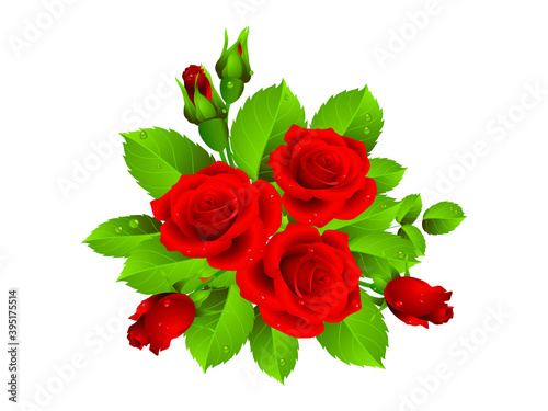 Realistic vector illustration art of red roses with buds and green leaves isolated on white background. Decoration for packaging products for beauty  health  cosmetics  flower shops  markets  others.
