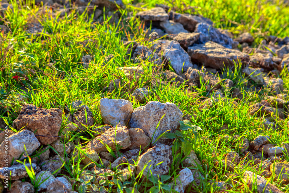 Pile of Stones in the Green Grass Pile of Stones in the Green Grass