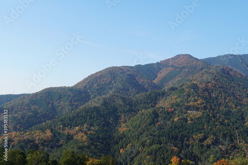 秋の愛宕山 © SRT101