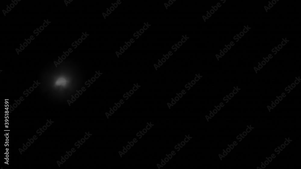 Light Circle Electricity Effect, Circular Abstract Opening Animation 2 in 1 Pack. Matte Channel Video. Light Circle Electricity Effect, Circular Abstract Opening Animation 2 in 1 Pack. Matte Channel Video.