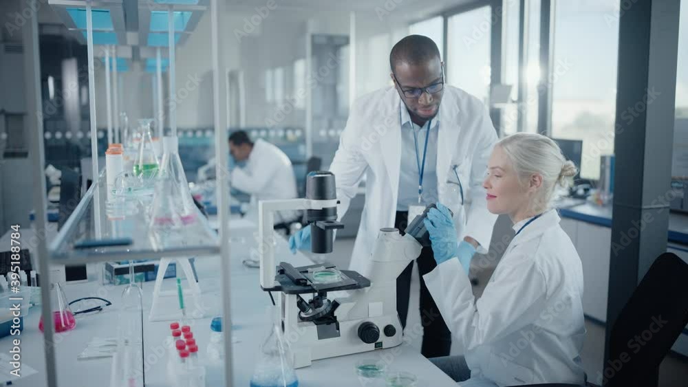 Modern Medical Research Laboratory Two Scientists Working Together 