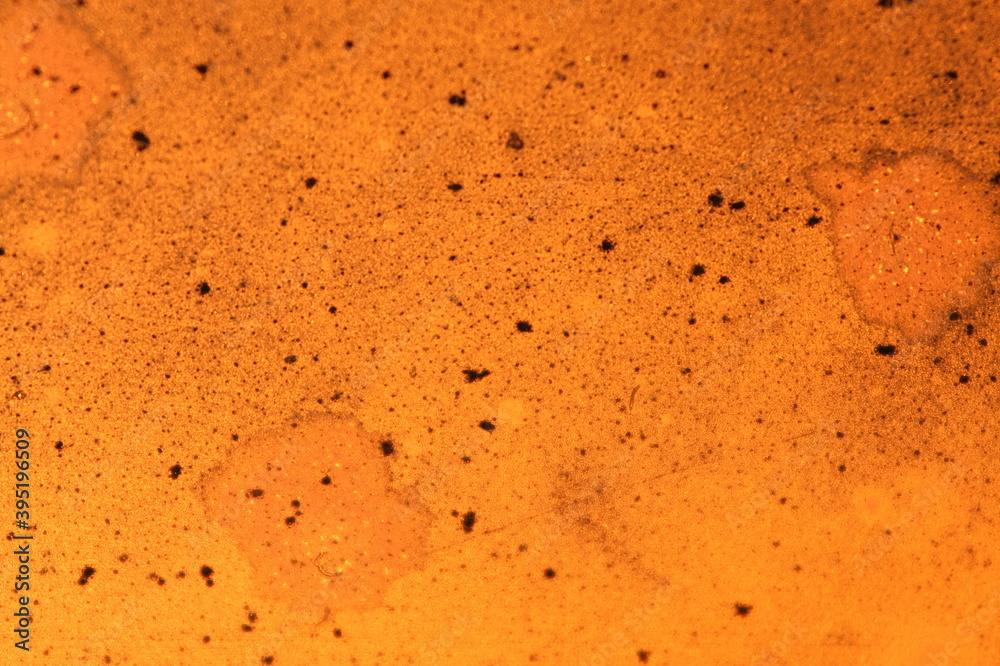 Obraz premium The glass is illuminated by the sun at sunset