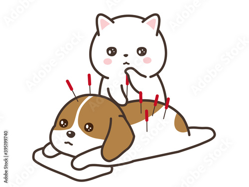 ペットの鍼治療　猫と犬