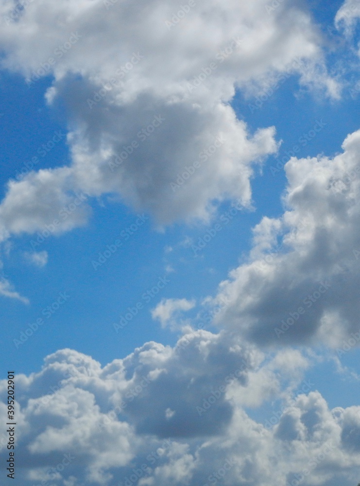 Fototapeta premium 青空と雲 背景 素材