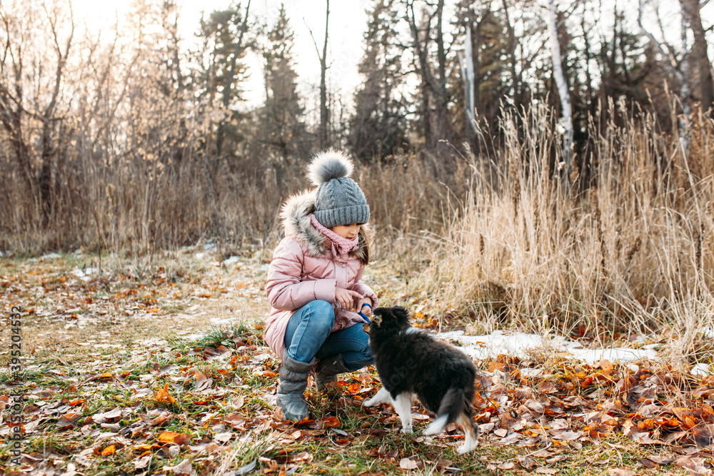 Girl in a gray hat and a warm jacket with a puppy dogs walk in the autumn forest, trees and grass Girl in a gray hat and a warm jacket with a puppy dogs walk in the autumn forest, trees and grass