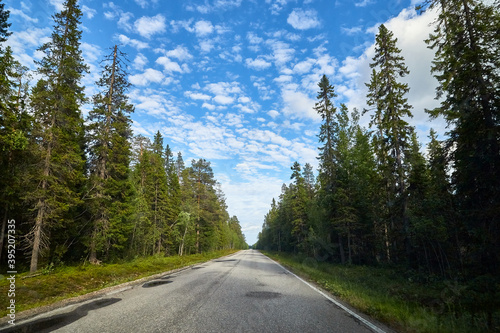 Beautiful landscape with blue sky, white clouds and the road that goes to the horizon with the forest and trees on the roadsides © keleny
