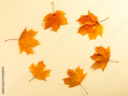 Orange autumn leaves on a yellow background, the concept of autumn, the preparation for the text, Thanksgiving day. Copy space.