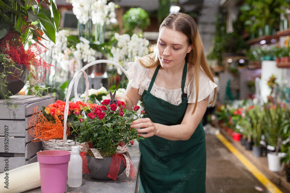 Female florist wearing an apron working in the floral shop. High quality photo