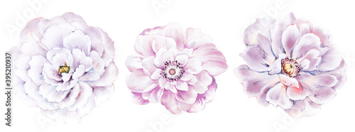 Flowers watercolor illustration. Manual composition.Design for cover, fabric, textile, wrapping paper .