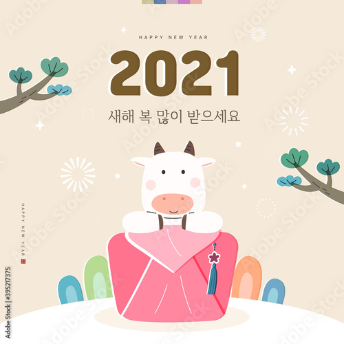 New Year illustration / New Year's Day greeting /  Korean Translation : "Happy New Year"
