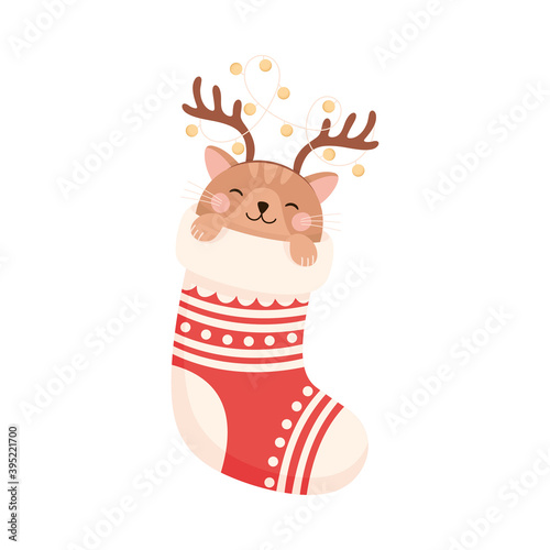 Cute Cat Pet Wearing Deer Antlers Peeped Out Christmas Stocking Vector Illustration