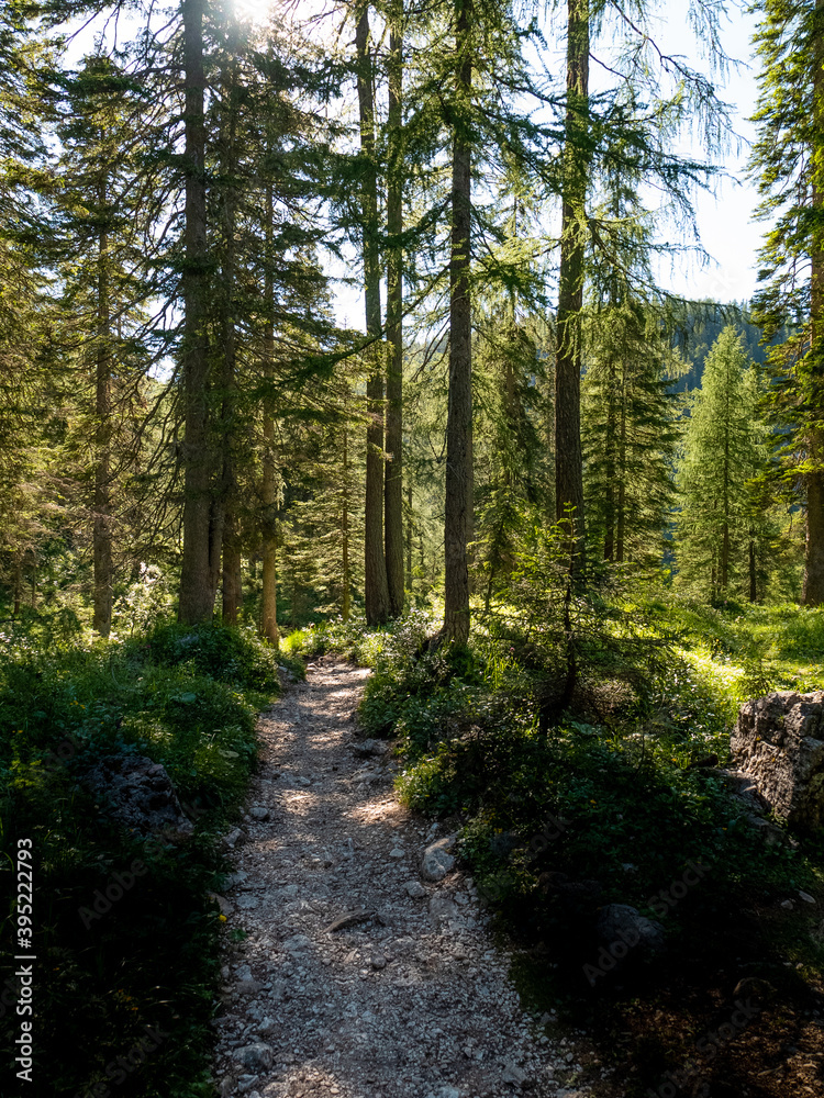Fototapeta premium Asiago's landscape - Italy 2020