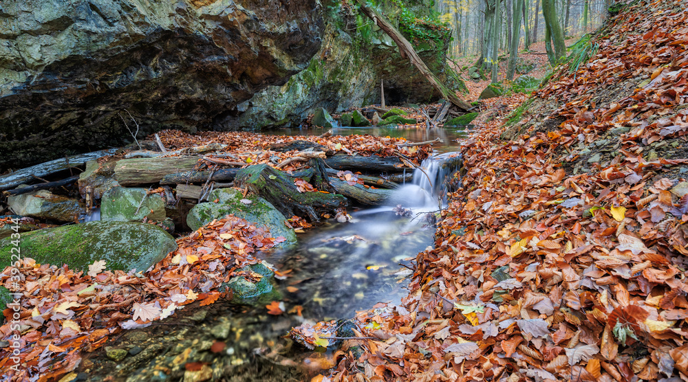 Fototapeta premium kleiner Bach im Harz