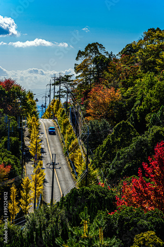 日本の秋、紅葉の街の坂道、宝塚市中山桜台、11月9日、日本