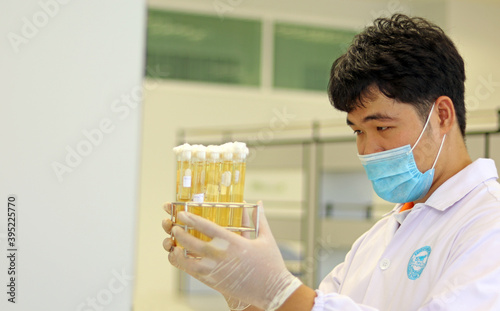 Scientist analysis the results of Most Probable number (MPN) technique for counting the Coliform bacteria cultured with Tryptose Lauryl broth. By observe gas air in MPN Durham tube holding in hands.