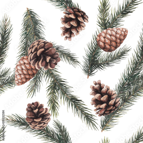 nature sketch pattern with pine cones and twigs forest winter and New Year theme watercolor drawing on white background