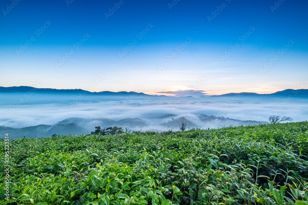 Dawn in the valley Vietnam