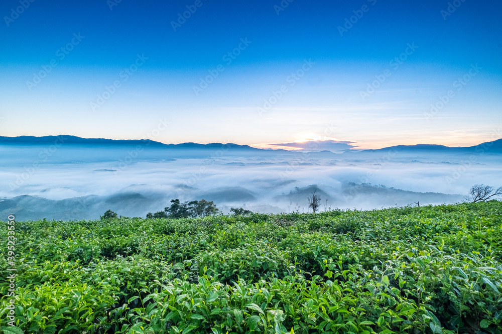 Dawn in the valley Vietnam