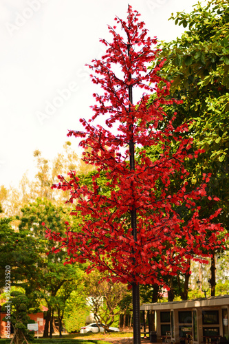 autumn trees in the park