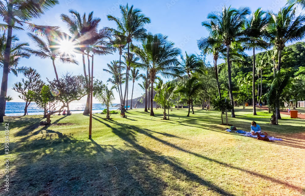 Parc et plage de Grand’Anse, île de la Réunion 