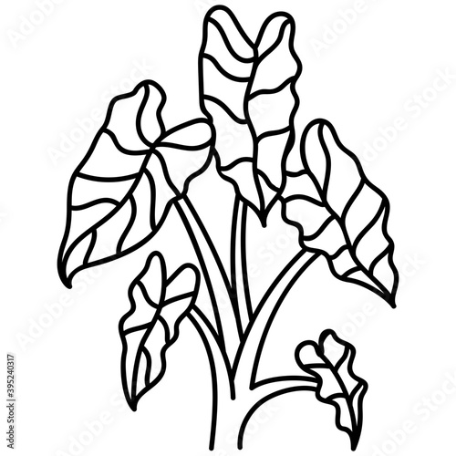 Wallpaper Mural Botanical Flower Plant  Torontodigital.ca