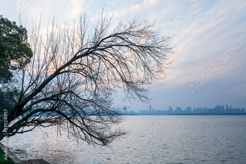 Tree in the winter, lake and twilight at the Donghu (East Lake) of Wuhan City of China.