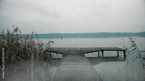 bridge over the river