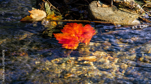 a red autumn leaf under a stream of water