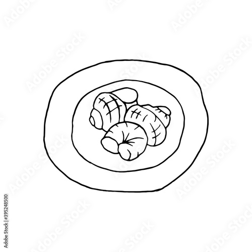 Vector hand drawn escargot on plate top view. French cuisine dish of snails. Design sketch element for menu cafe, bistro, restaurant, label and packaging. Illustration on a white background.