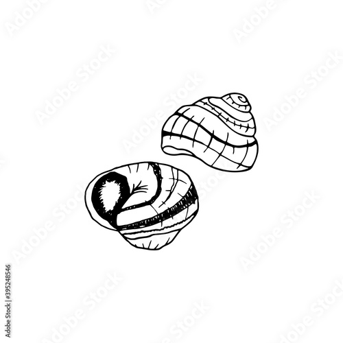 Vector hand drawn escargot. French cuisine dish of snails. Design sketch element for menu cafe, bistro, restaurant, label and packaging. Illustration on a white background.