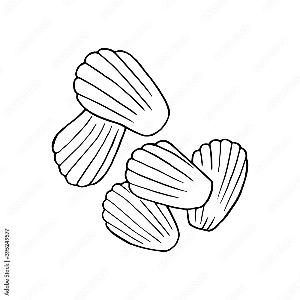 Foto Vector hand drawn madeleine