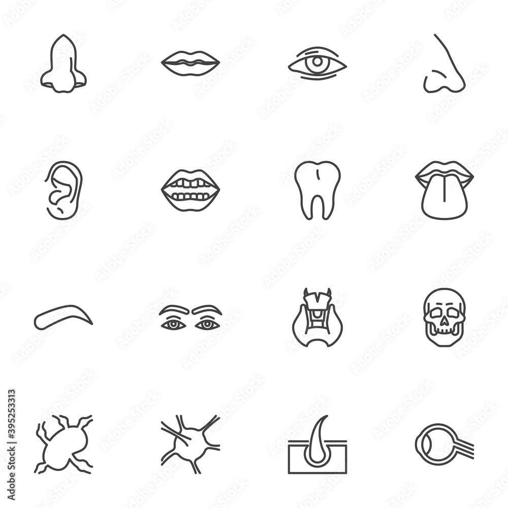 Human face parts line icons set, outline vector symbol collection, linear style pictogram pack. Signs, logo illustration. Set includes icons as body parts, nose, lips, eye, ear, tooth, eyebrow Human face parts line icons set, outline vector symbol collection, linear style pictogram pack. Signs, logo illustration. Set includes icons as body parts, nose, lips, eye, ear, tooth, eyebrow