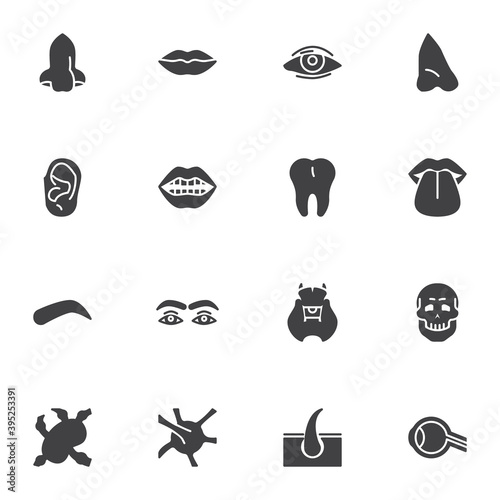 Human face parts vector icons set, modern solid symbol collection, filled style pictogram pack. Signs, logo illustration. Set includes icons as body parts, nose, lips, eye, ear, tooth, eyebrow © alekseyvanin