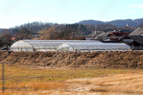 Two large industrial garden greenhouses made of metal pipes support frame covered with semi transparent nylon behind old dry grass overgrown levee surrounded with suburban family houses and trees 