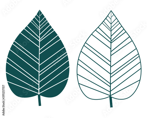 Set leaves silhouettes vector illustration