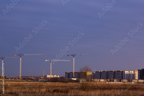 construction site with tower cranes in a field against a dark blue sky © юлия саплина
