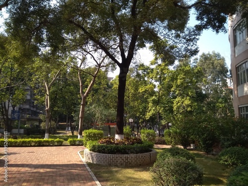 Jinan University at Guangzhou, Tianhe district, China