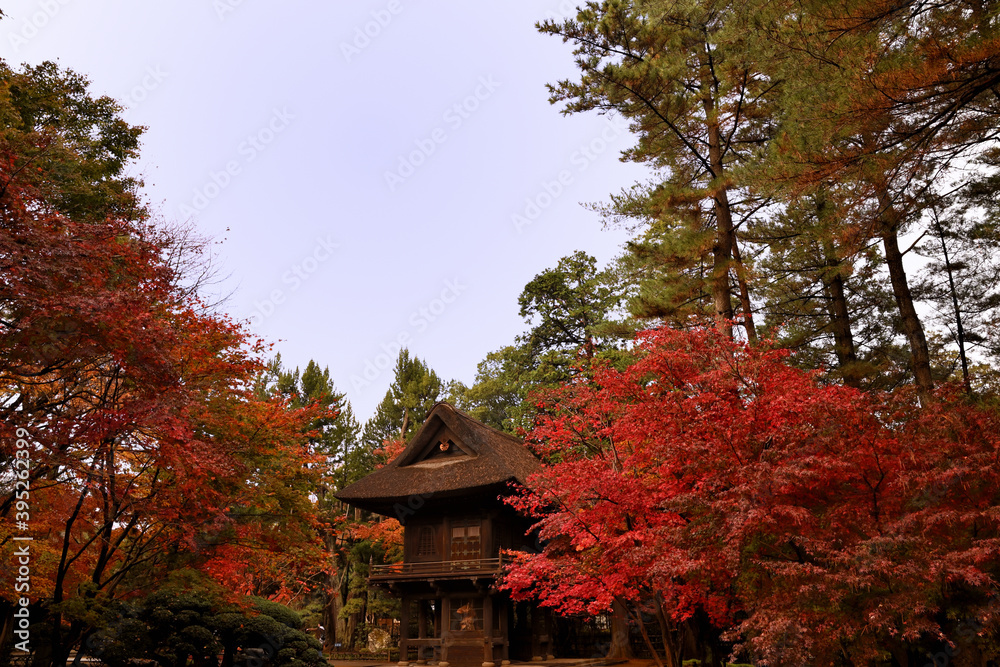 秋の日本庭園 秋の日本庭園