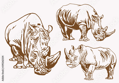 Vintage set of rhinoceroses , sepia background, vector © Vita