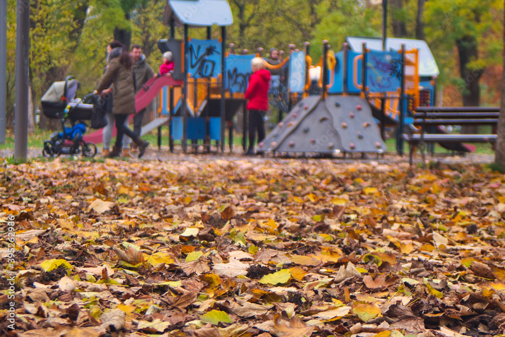 Fototapeta premium Colorful kids playground and children playing in autumn park of Novi Sad, Serbia