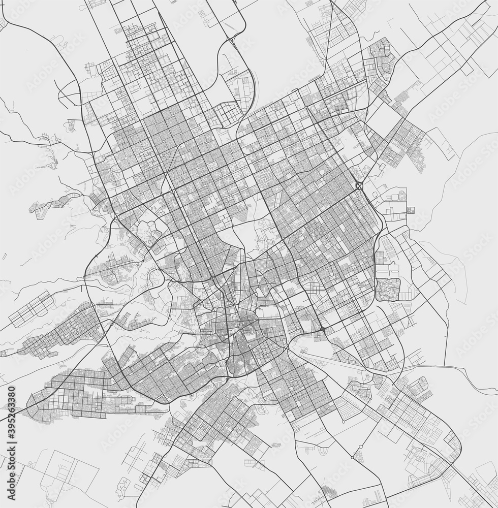 Urban city map of Riyadh. Vector poster. Grayscale street map.