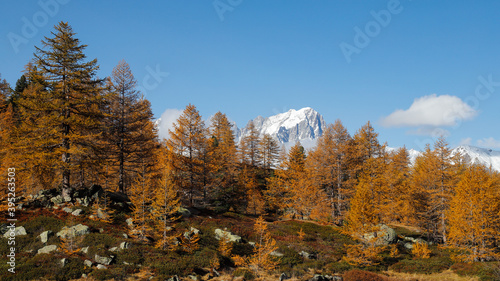 Grand Jorasses mountain