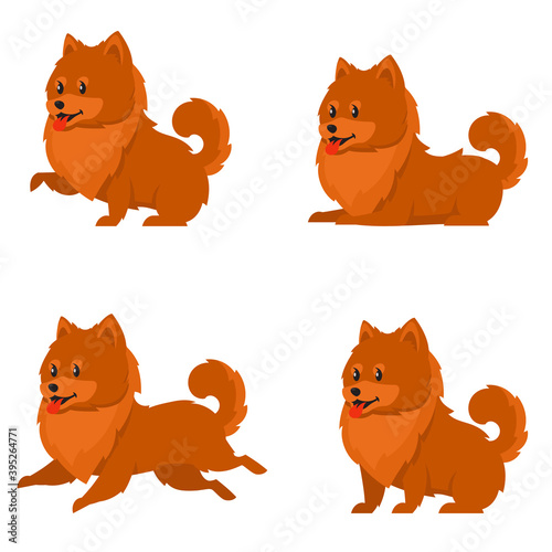 Spitz in different poses. Cute dog in cartoon style.