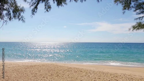 Deep blue sea water surface reflection of sun glare n calm ocean wave crashed exotic golden sandy bay in tropical summer sunlight ray with pine tree leaf at mai khao beach, 4k uhd cinemagraphs b-roll 