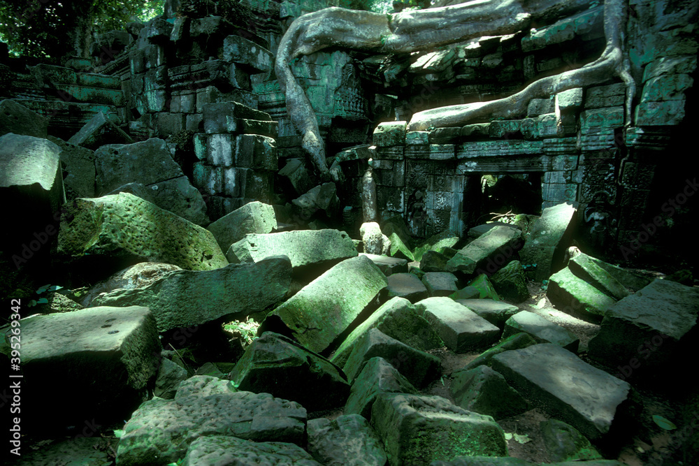 Obraz premium CAMBODIA SIEM REAP ANGKOR TA PROHM TEMPLE