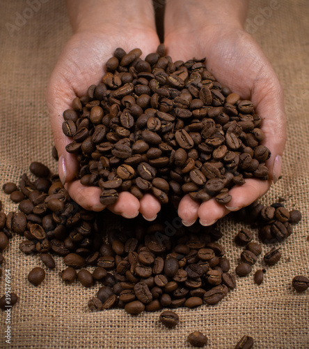 Women's hands hold roasted coffee beans. Women's palms with coffee on the background of burlap fabric