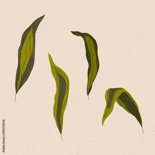 Abstract plant background vector illustration 